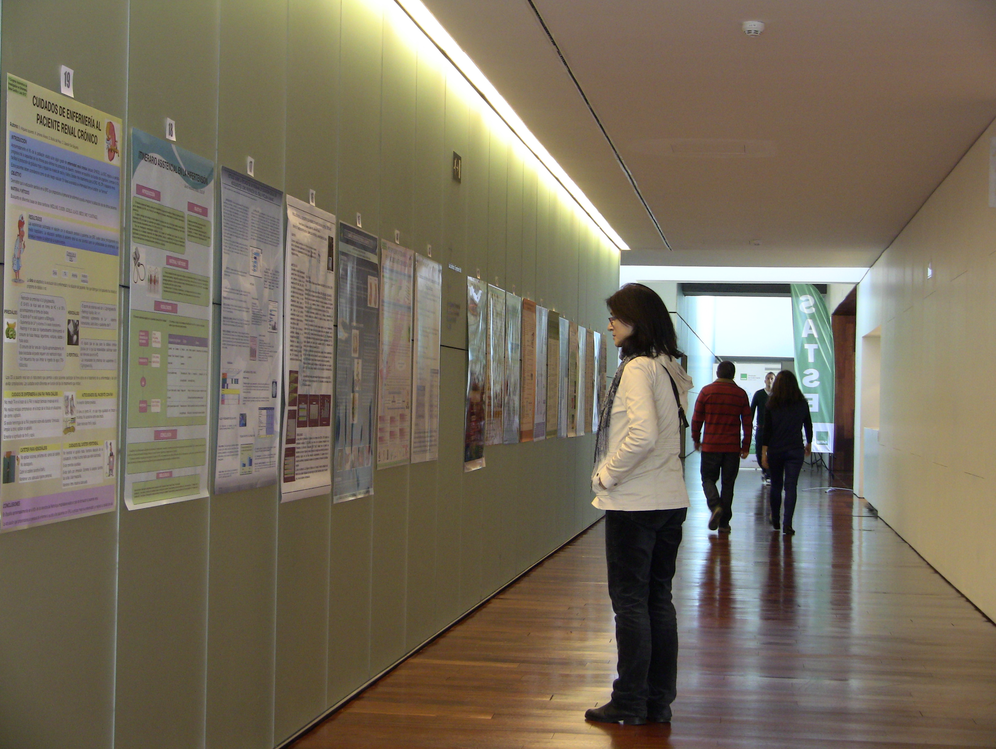 I Congreso Investigación en Enfermería SATSE Castilla y León 2012 (6)