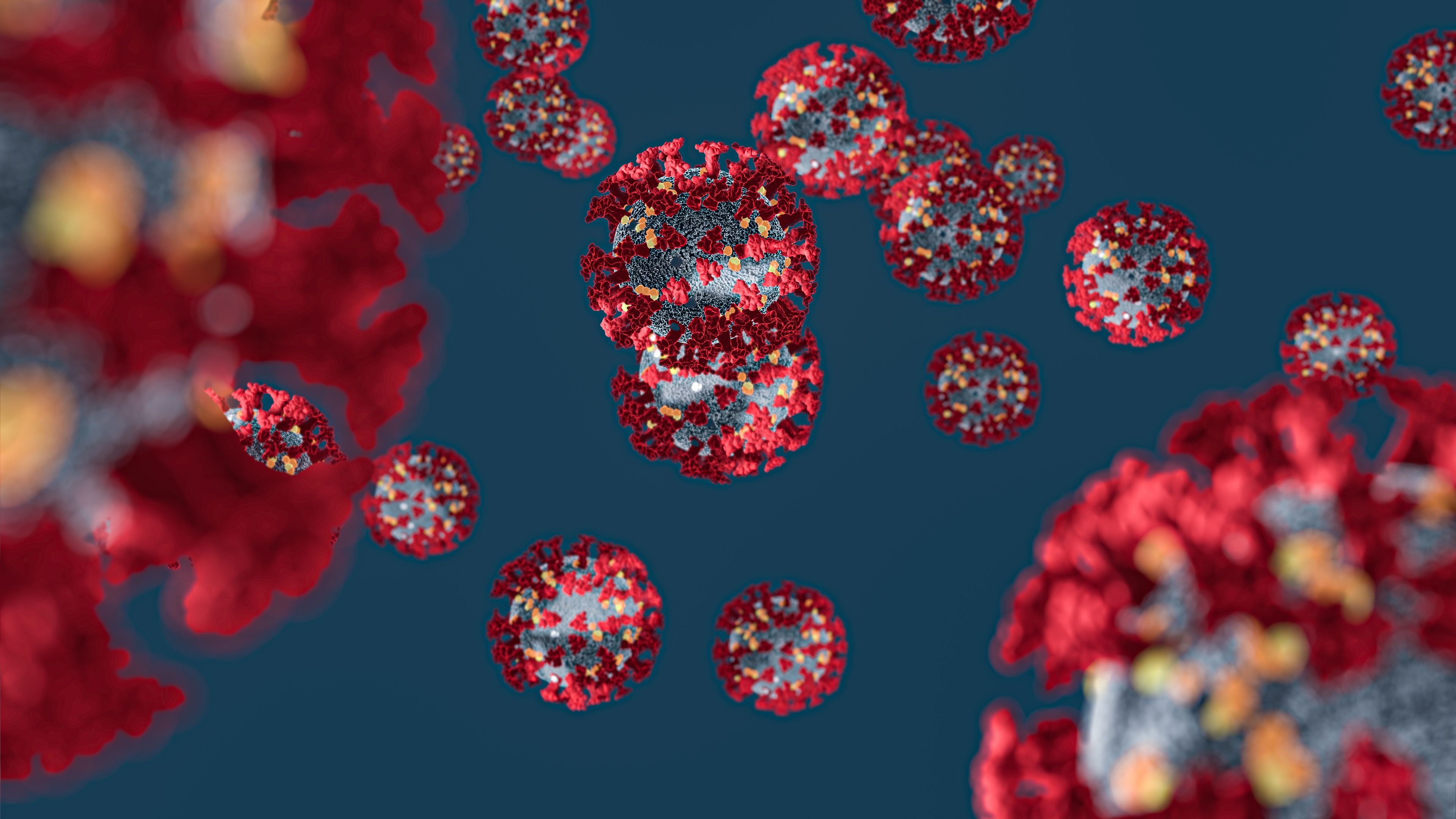 corona-virus-4932576