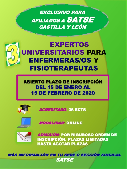 Cartel Expertos universitarios Enfermería y Fisioterapia SATSE CYL 2020